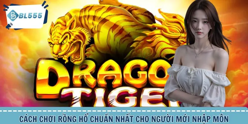 Cách Chơi Rồng Hổ Chuẩn Nhất Cho Người Mới Nhập Môn