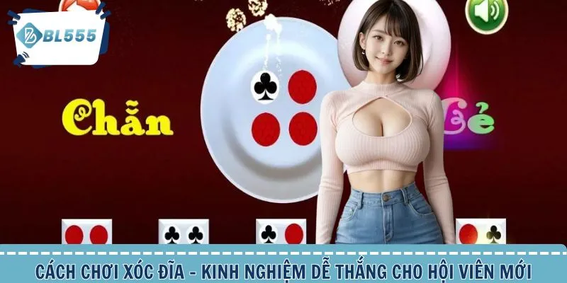 Cách chơi Xóc đĩa thắng lớn - bật mí từ chuyên gia