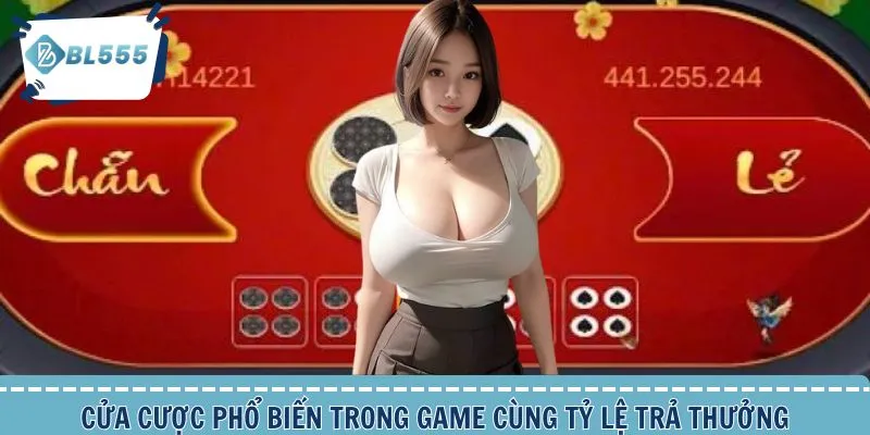 Cửa cược phổ biến game xóc đĩa bạn cần biết