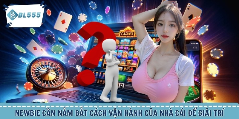 Newbie cần nắm bắt cách vận hành của nhà cái để giải trí