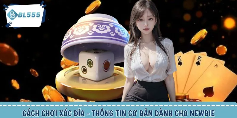 Thông tin cơ bản game xóc đĩa trực tuyến dành cho tân binh