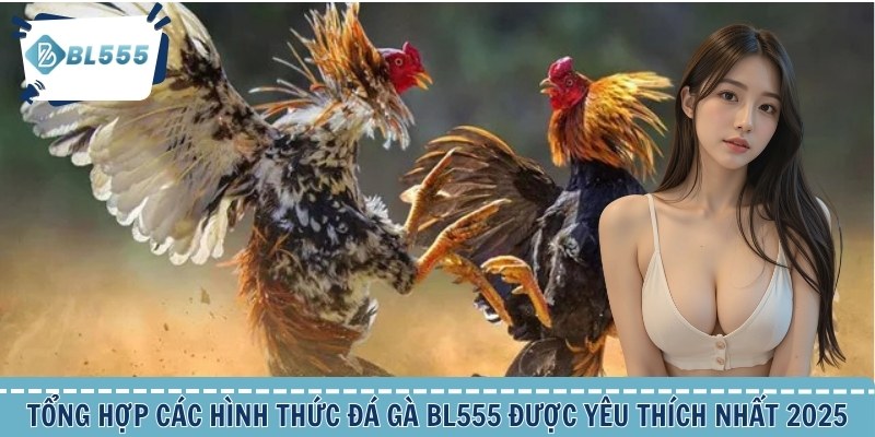 Tổng hợp các hình thức đá gà BL555 được yêu thích nhất 2025